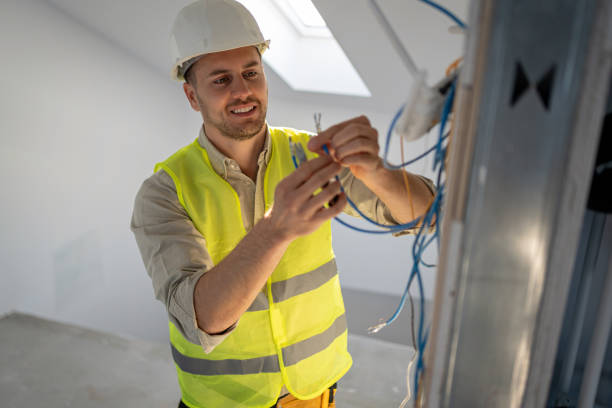 Best Electric Panel Repair  in Faison, NC